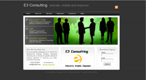 e3help 2010 E3 Consulting partners website